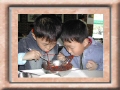 DSCN0392.JPG